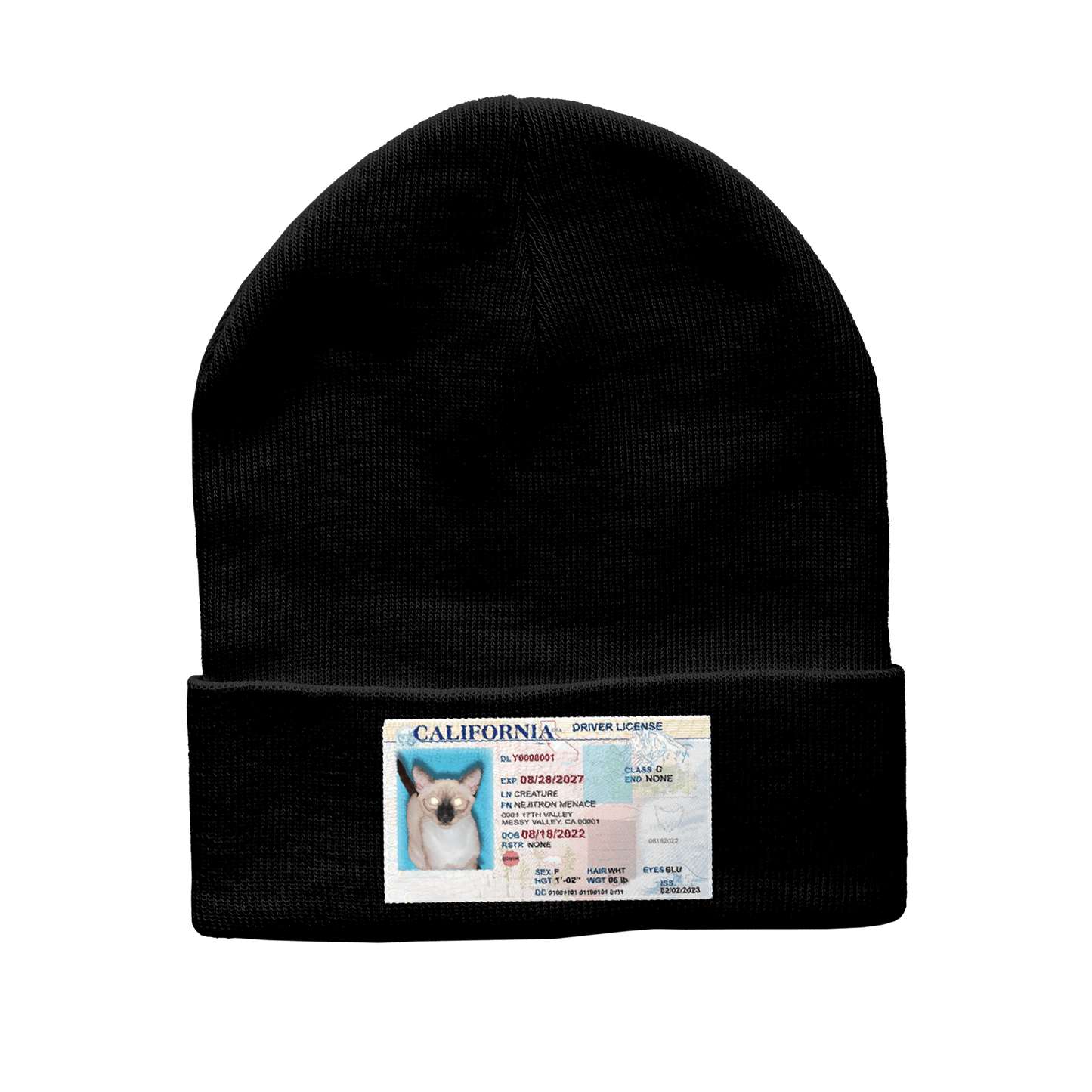 Designated Driver Beanie